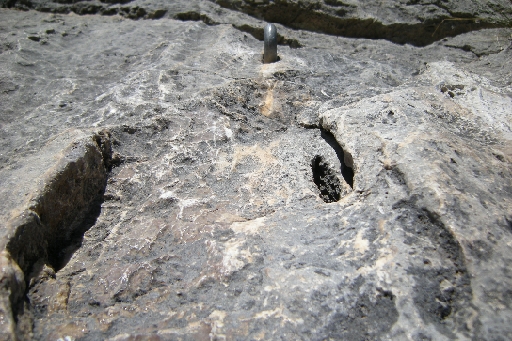 DSCN9702.JPG