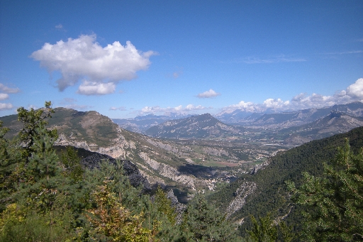 DSCN9767.JPG