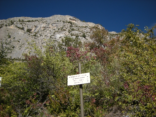 DSCN9838.JPG