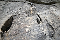 DSCN9702