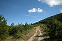 DSCN9758
