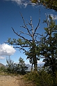 DSCN9772