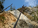 DSCN9907