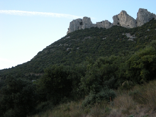 DSCN9939.JPG