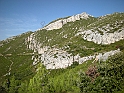 DSCN0051