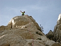 DSCN0070