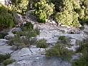 DSCN9931