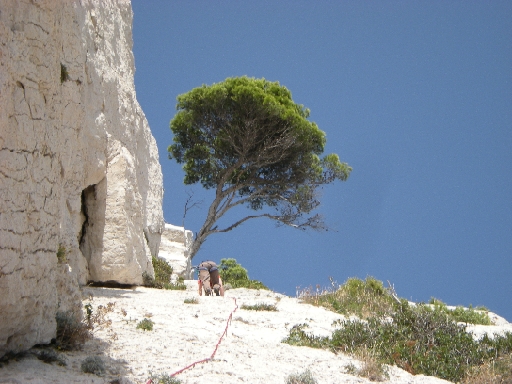 DSCN0127.JPG