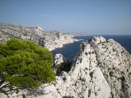 DSCN0139.JPG