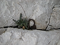 DSCN0091