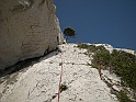 DSCN0126