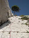 DSCN0131
