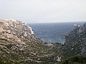 DSCN0154