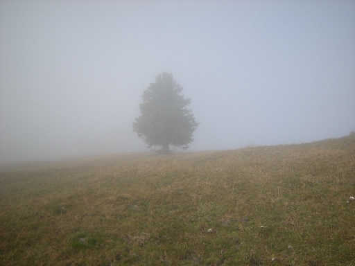 DSCN0167.JPG