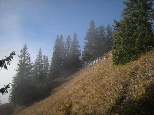 DSCN0169.JPG