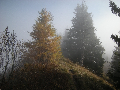 DSCN0170.JPG