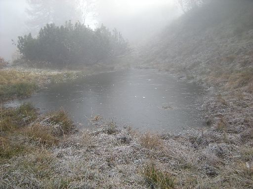 DSCN0208.JPG