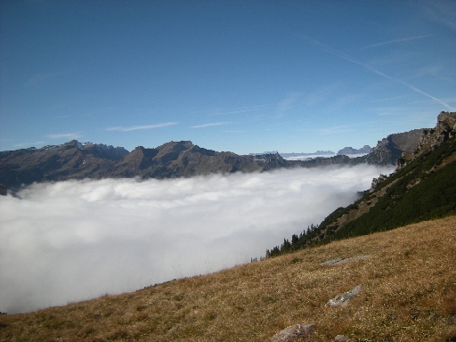 DSCN0226.JPG