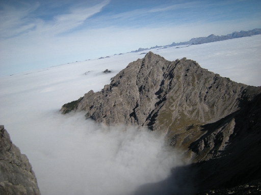 DSCN0231.JPG