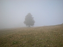 DSCN0167