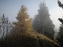DSCN0170