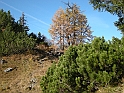 DSCN0180