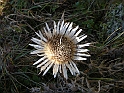 DSCN0184