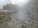 DSCN0208