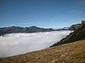 DSCN0226