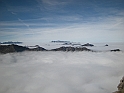 DSCN0239
