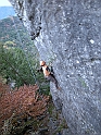 DSCN0315