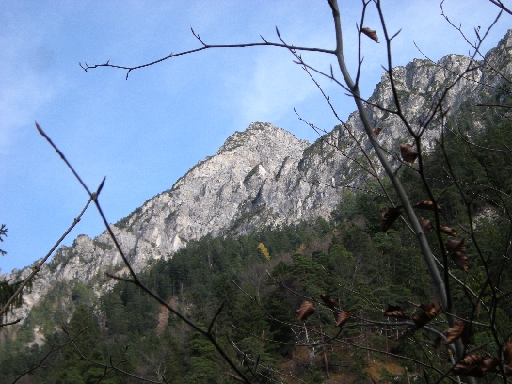 DSCN0337.JPG