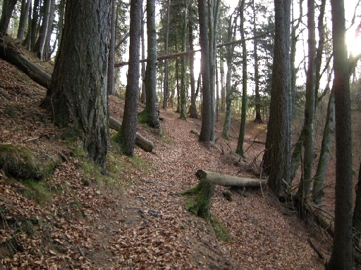 DSCN0379.JPG