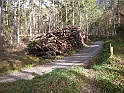 DSCN0334