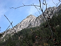 DSCN0337