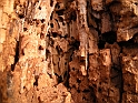 DSCN0354