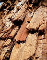DSCN0356a
