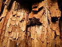 DSCN0358