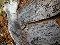 DSCN0359