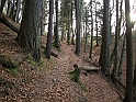 DSCN0379