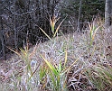 DSCN0397