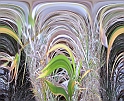 DSCN0397kord
