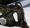 DSCN1163
