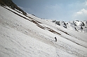DSCN1243
