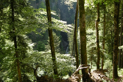 DSCN1274.JPG