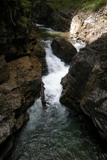 DSCN1289.JPG