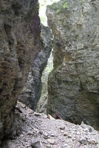 DSCN1301.JPG