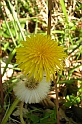 DSCN1258