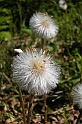 DSCN1259