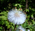 DSCN1261